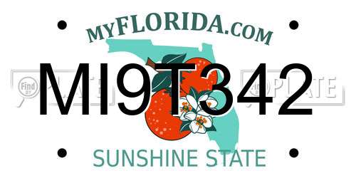 MI9T342 Florida License Plate