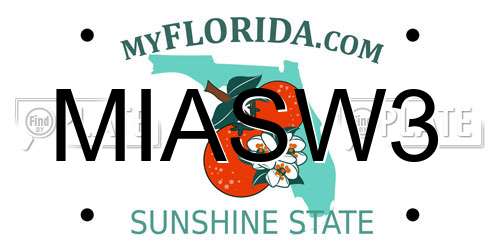 MIASW3 Florida License Plate