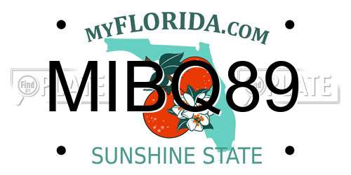 MIBQ89 Florida License Plate