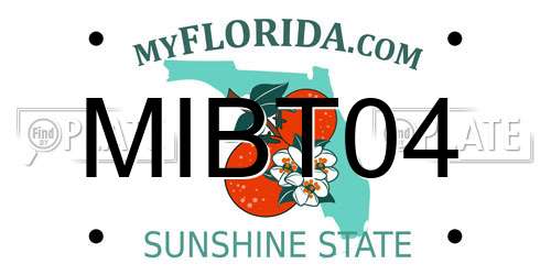 MIBT04 Florida License Plate