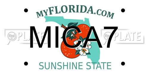 MICA7 Florida License Plate