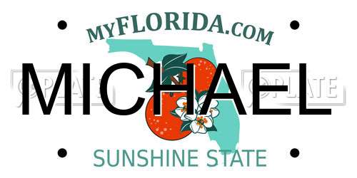 MICHAEL Florida License Plate