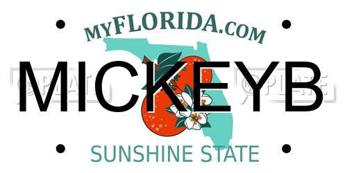 MICKEYB Florida License Plate
