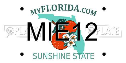 MIE12 Florida License Plate