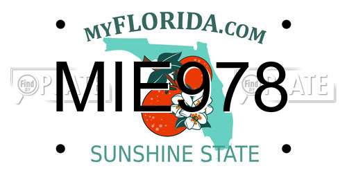 MIE978 Florida License Plate