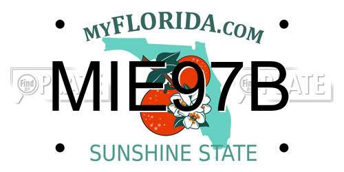 MIE97B Florida License Plate
