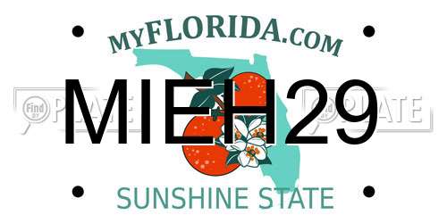 MIEH29 Florida License Plate