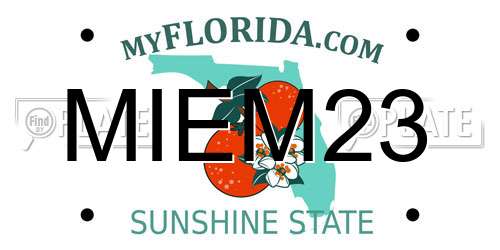 MIEM23 Florida License Plate