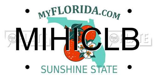 MIHICLB Florida License Plate