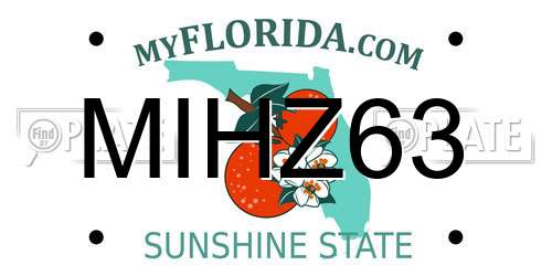 MIHZ63 Florida License Plate