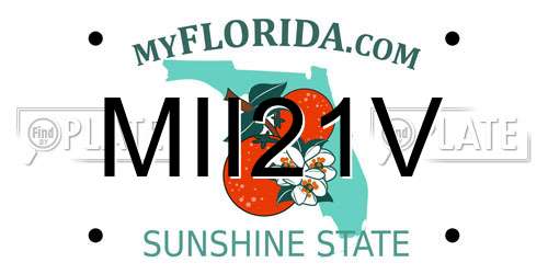 MII21V Florida License Plate