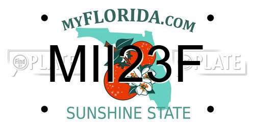 MII23F Florida License Plate
