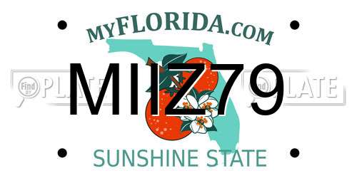 MIIZ79 Florida License Plate