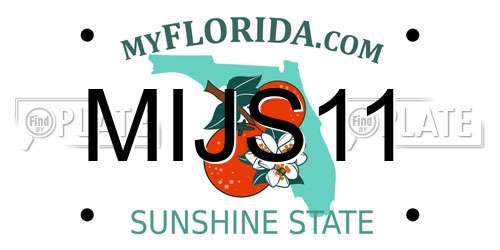 MIJS11 Florida License Plate