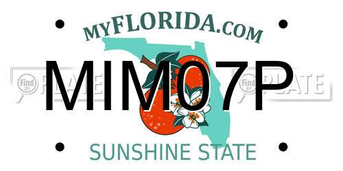 MIM07P Florida License Plate