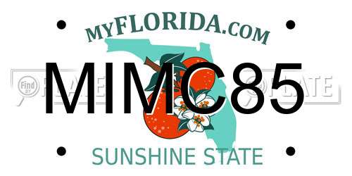 MIMC85 Florida License Plate