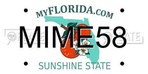 MIME58 Florida License Plate