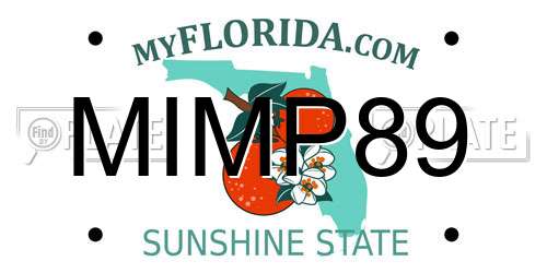 MIMP89 Florida License Plate