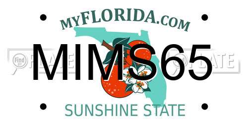 MIMS65 Florida License Plate
