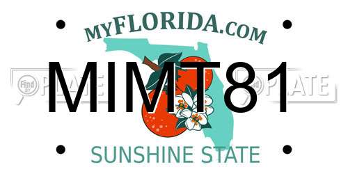 MIMT81 Florida License Plate