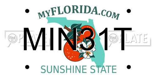 MIN31T Florida License Plate