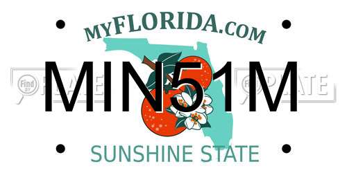 MIN51M Florida License Plate