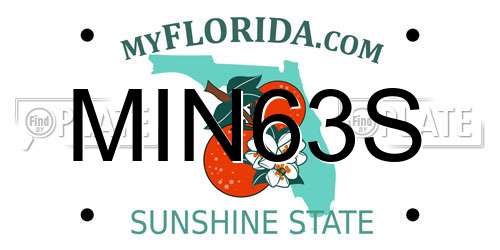 MIN63S Florida License Plate