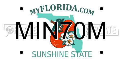 MIN70M Florida License Plate