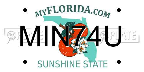 MIN74U Florida License Plate