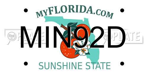MIN92D Florida License Plate