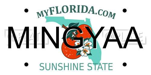 MINGYAA Florida License Plate