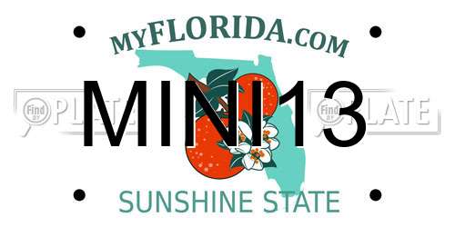 MINI13 Florida License Plate