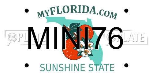MINI76 Florida License Plate
