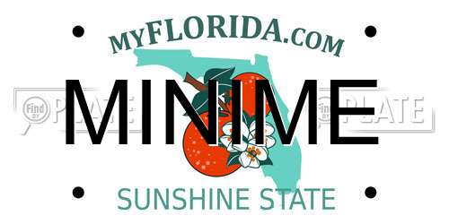 MINIME Florida License Plate