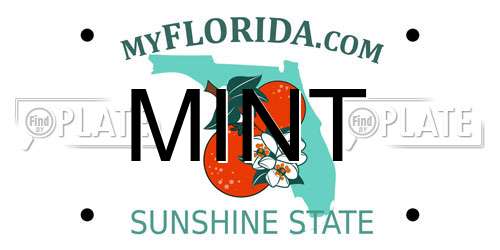 MINT Florida License Plate