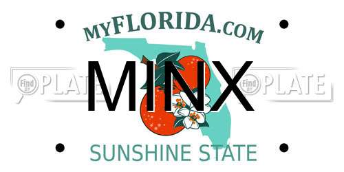MINX Florida License Plate