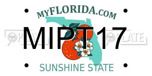 MIPT17 Florida License Plate