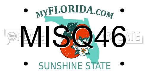 MISQ46 Florida License Plate