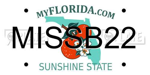 MISSB22 Florida License Plate