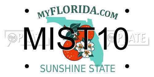 MIST10 Florida License Plate