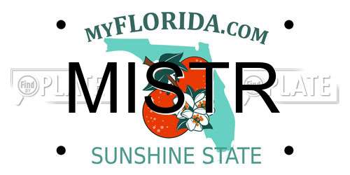 MISTR Florida License Plate