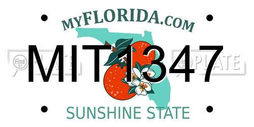 MIT1347 Florida License Plate
