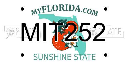 MIT252 Florida License Plate