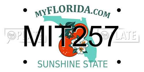 MIT257 Florida License Plate