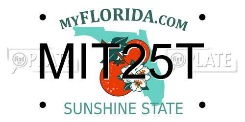 MIT25T Florida License Plate