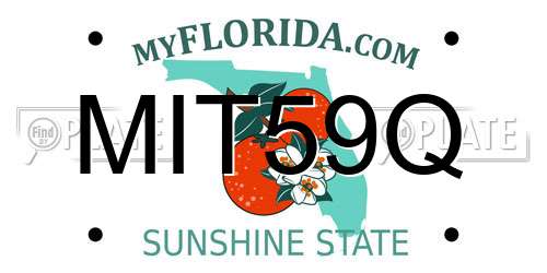 MIT59Q Florida License Plate