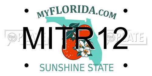 MITR12 Florida License Plate