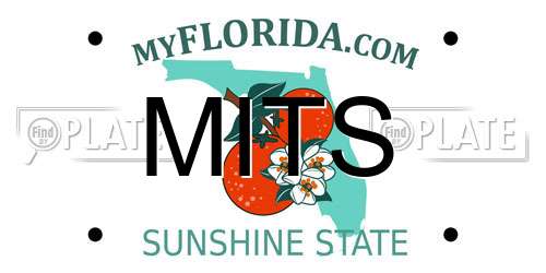 MITS Florida License Plate