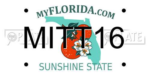 MITT16 Florida License Plate