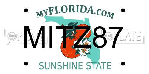 MITZ87 Florida License Plate